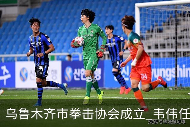 乌鲁木齐市拳击协会成立 韦伟任会长